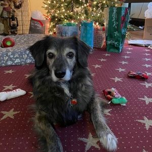 Meet your Posher, Maggie